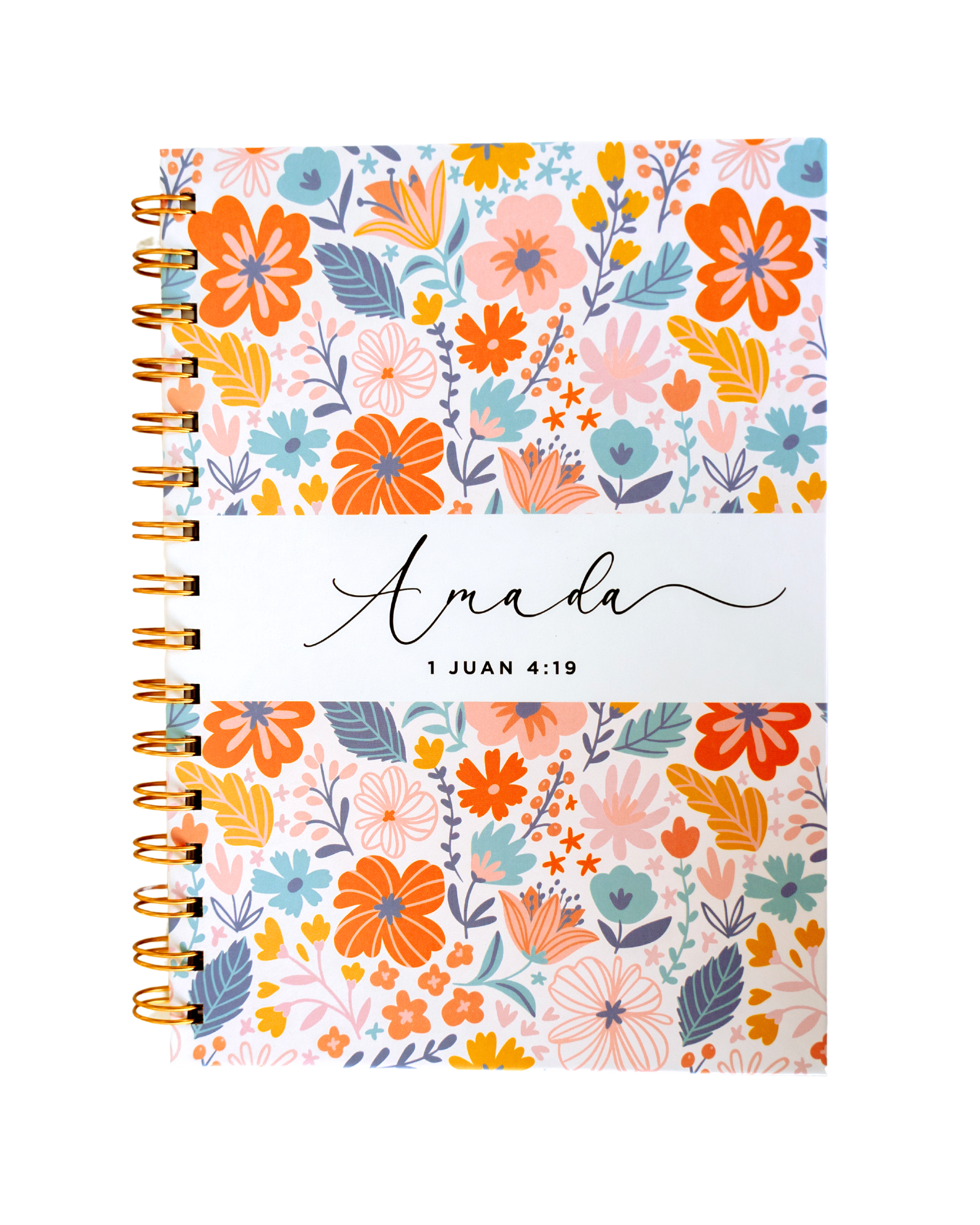 Journal Amada