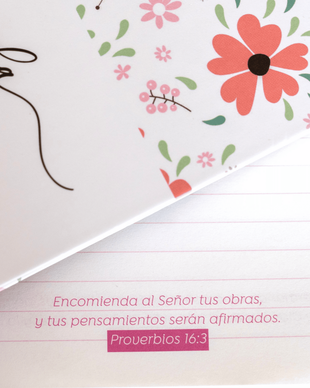 Journal Bendecida