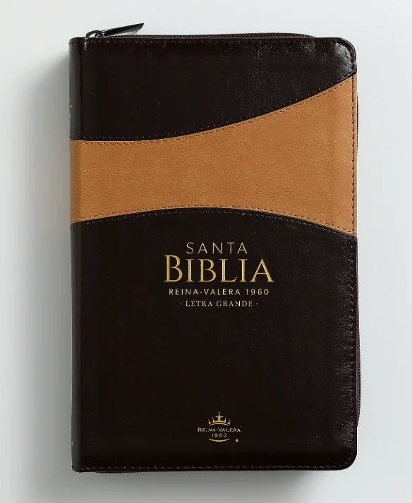 🤎 Biblia práctica y fácil de llevar