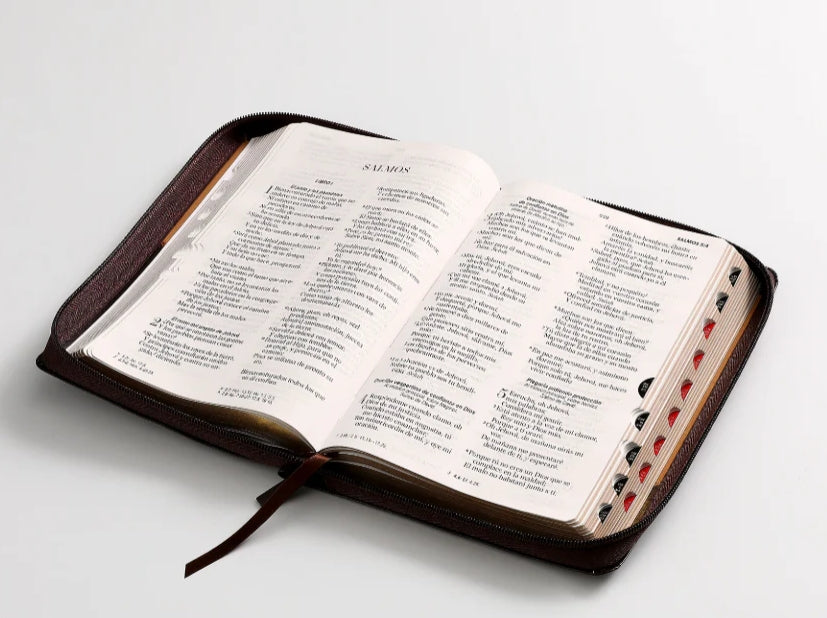 🤎 Biblia práctica y fácil de llevar