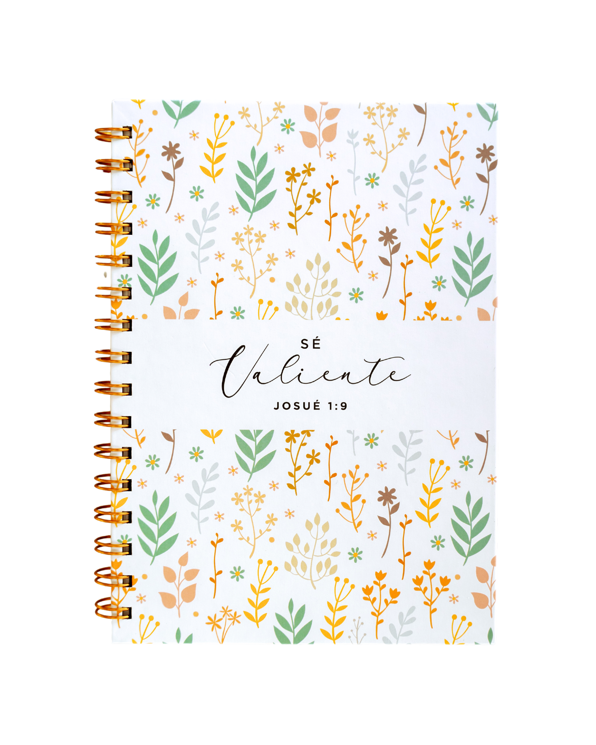 Journal Valiente