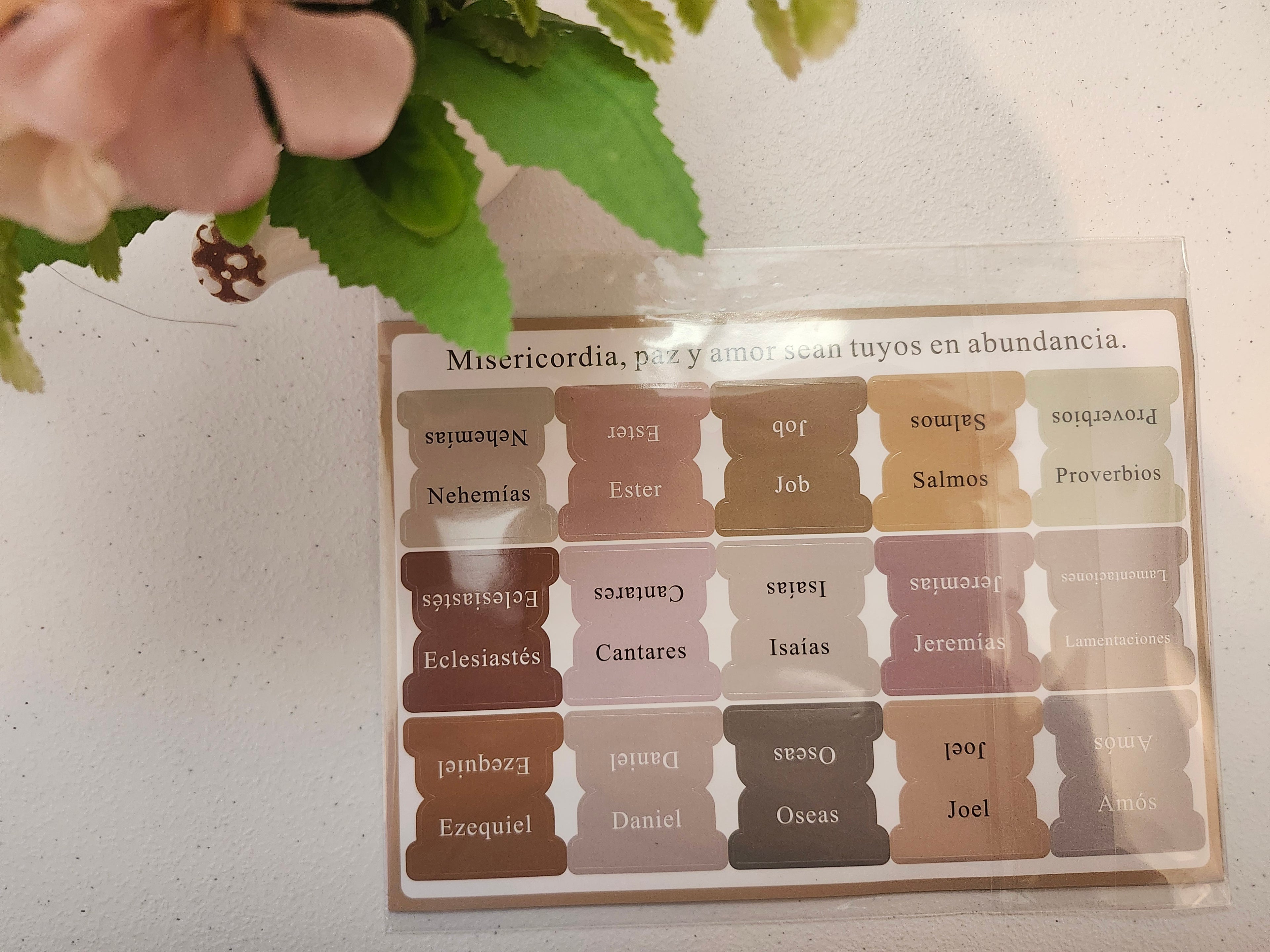 Pestañas para Biblia | Boho