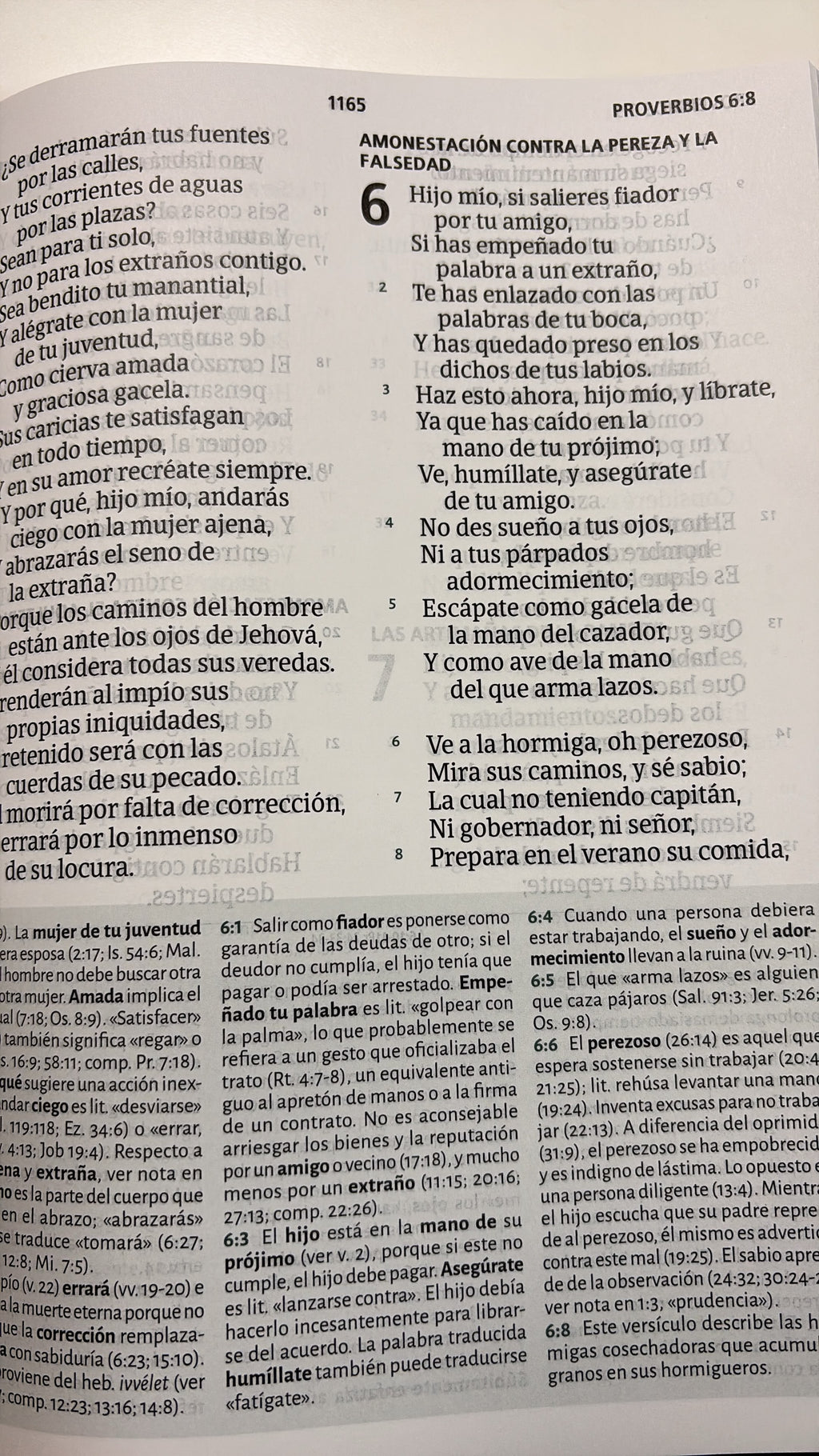 Biblia De Estudio RVR 1960|Letra Gigante