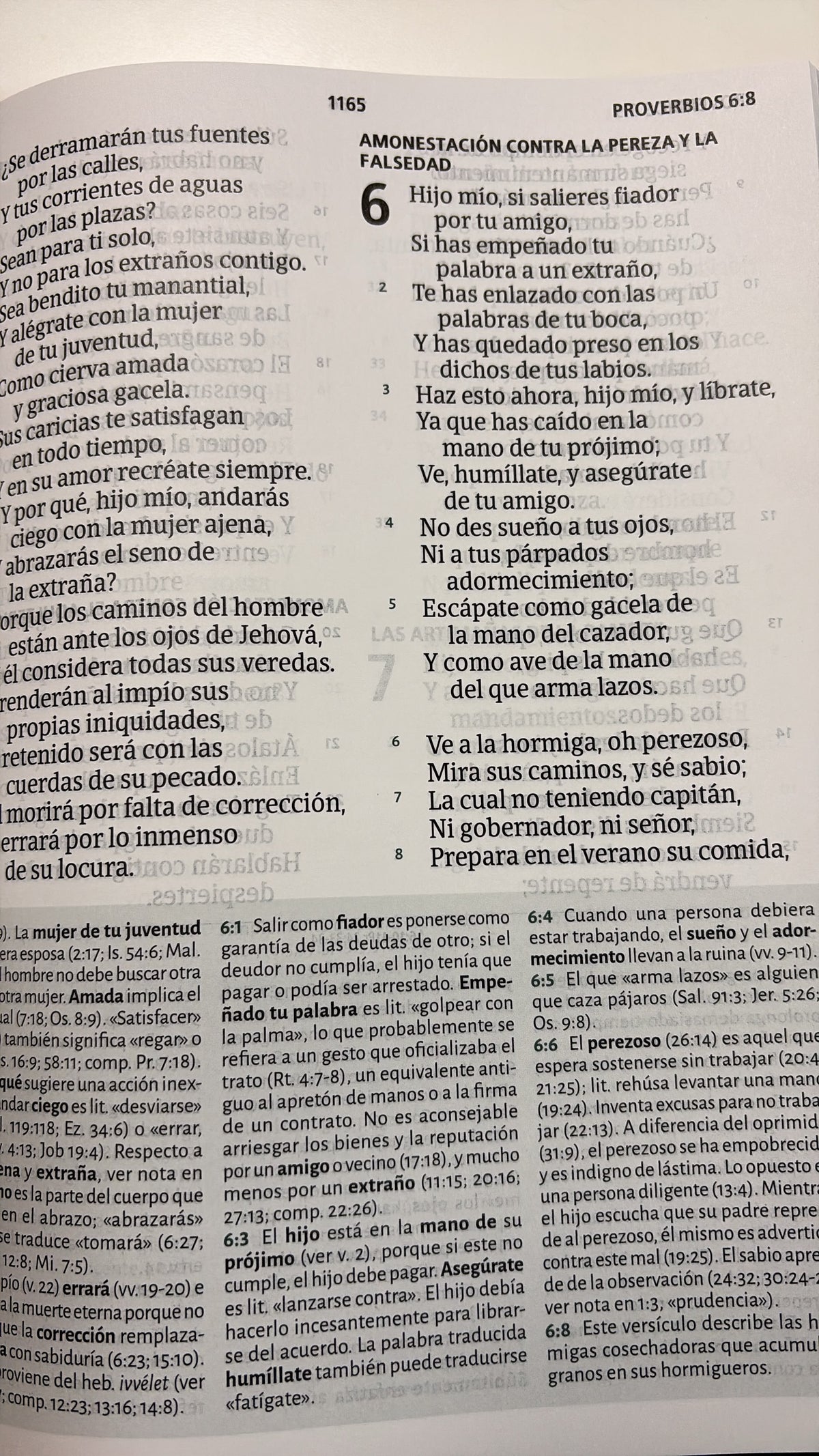Biblia De Estudio RVR 1960|Letra Gigante