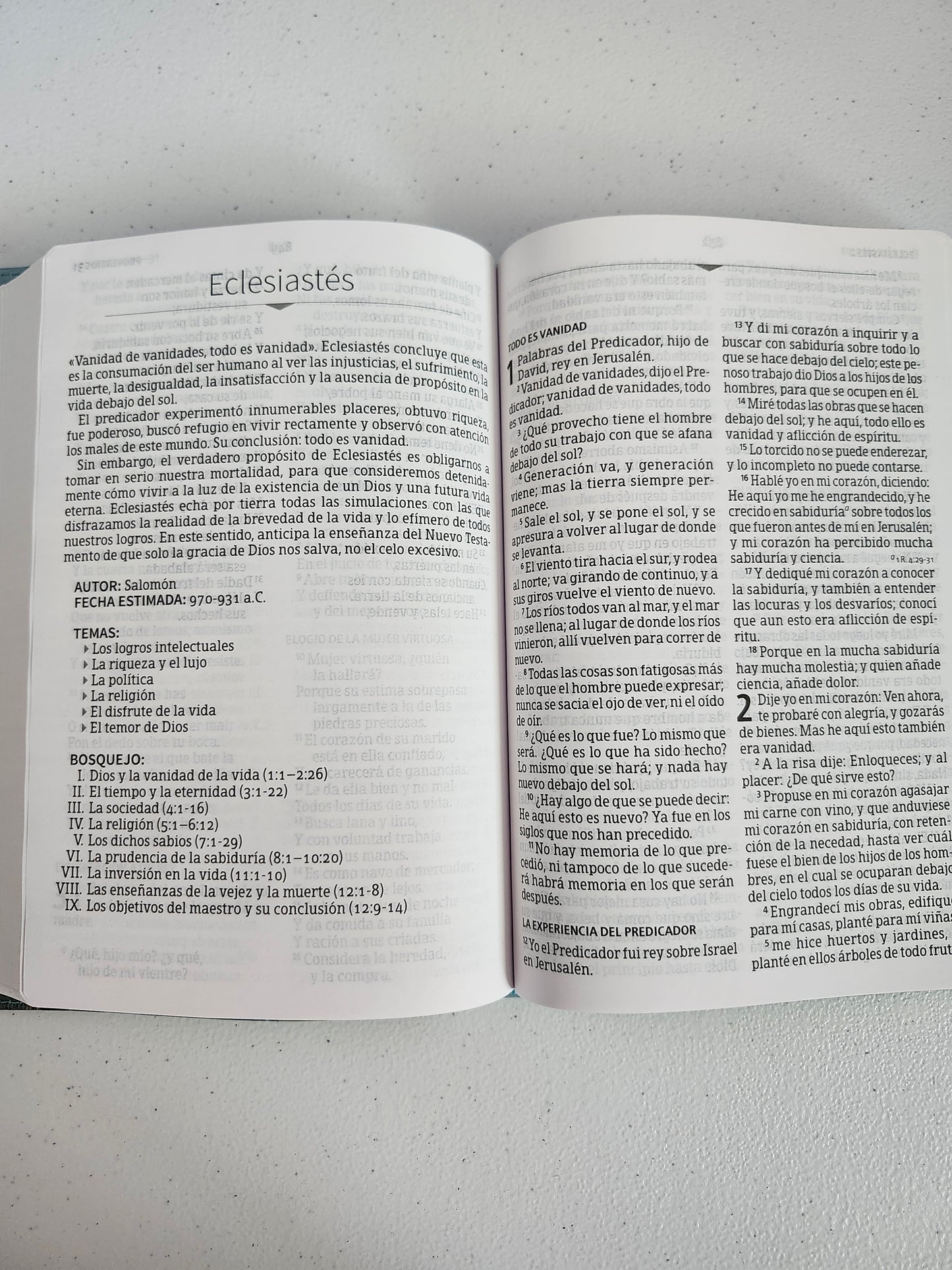 Biblia RVR 1960 Letra Grande, Tamaño Manual | Edición Especial, Verde, Simil Piel