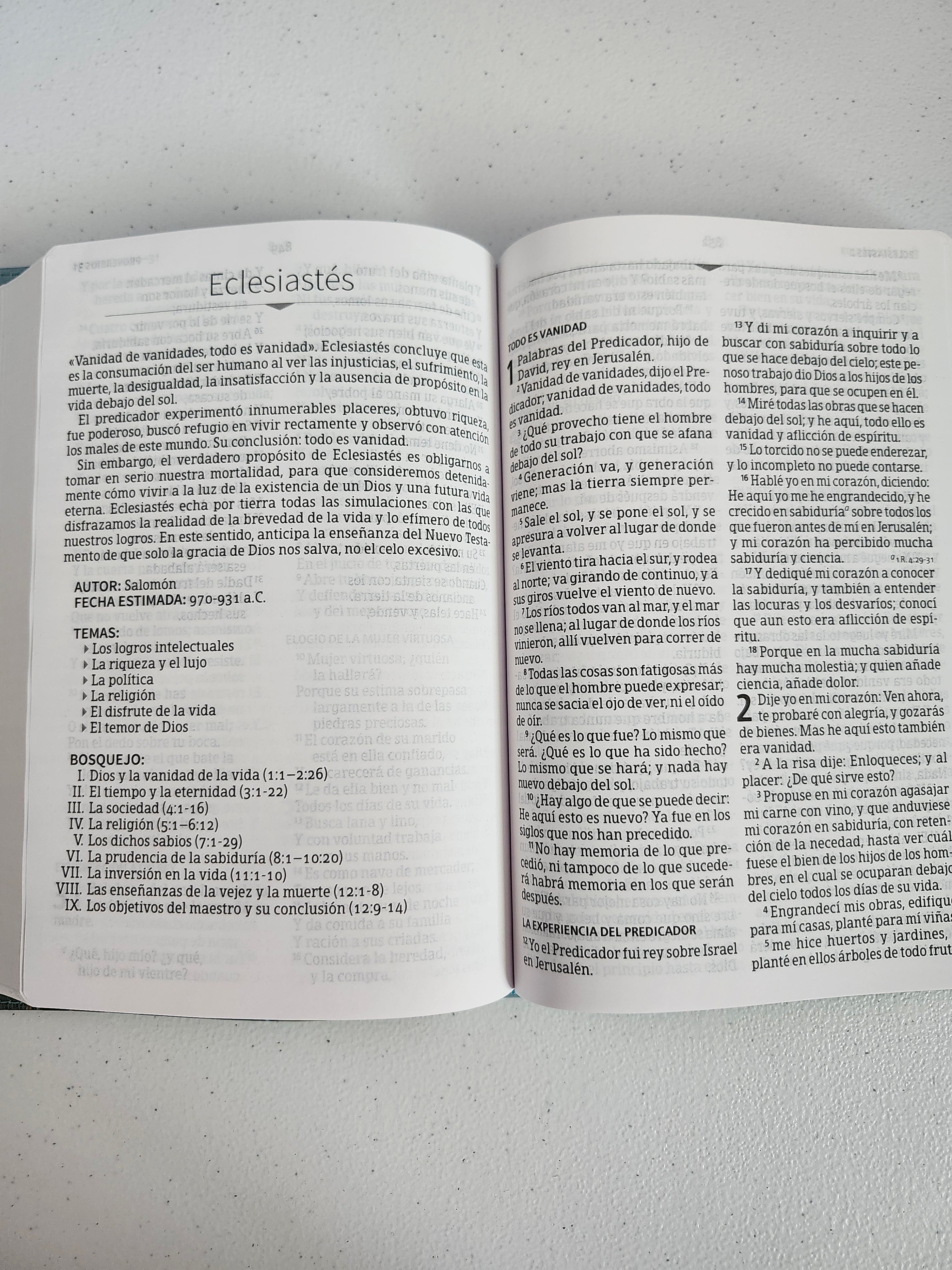 💜 Biblia práctica, hermosa y fácil de llevar (flores)