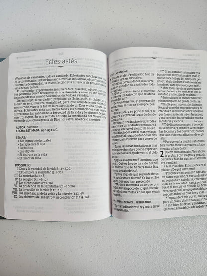 Biblia RVR 1960 Letra Grande, Tamaño Manual | Edición Especial, Verde, Simil Piel