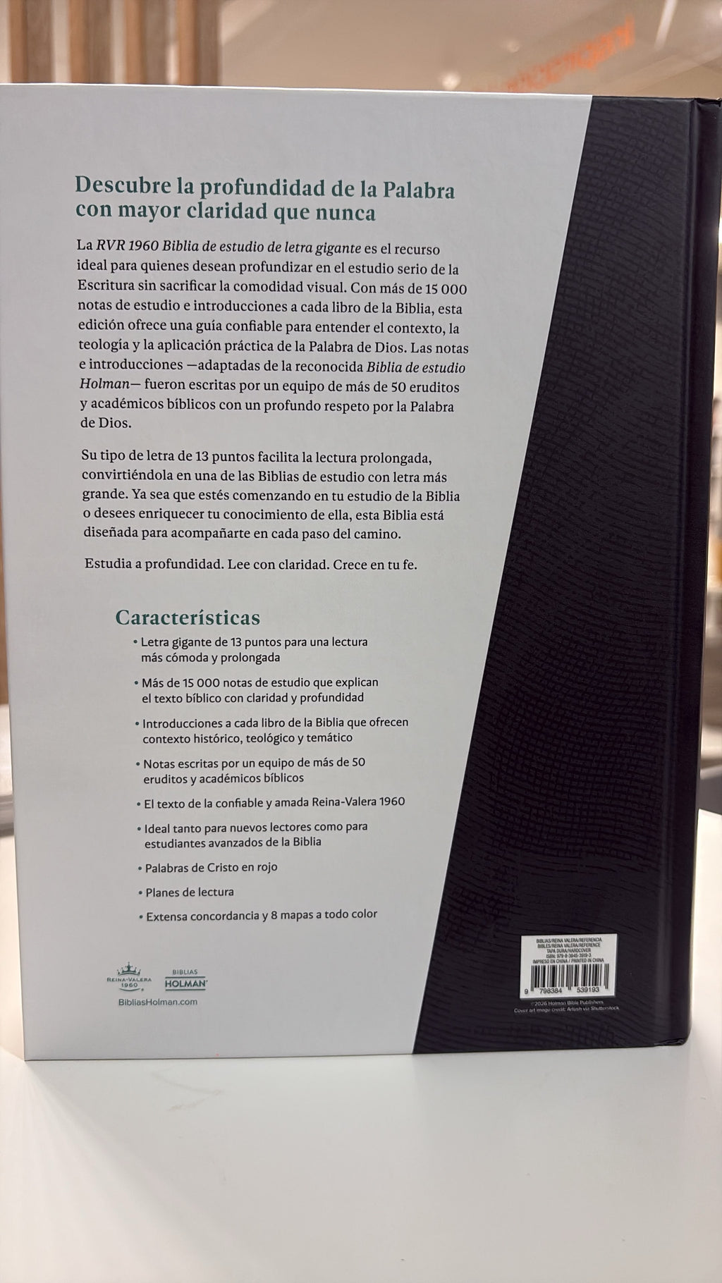 Biblia De Estudio RVR 1960|Letra Gigante