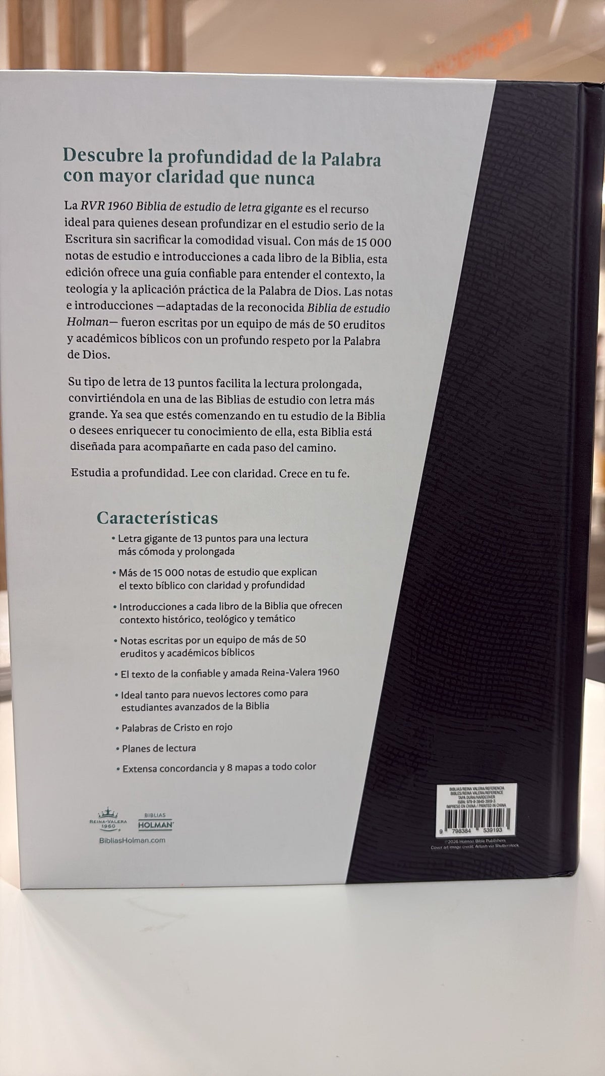Biblia De Estudio RVR 1960|Letra Gigante
