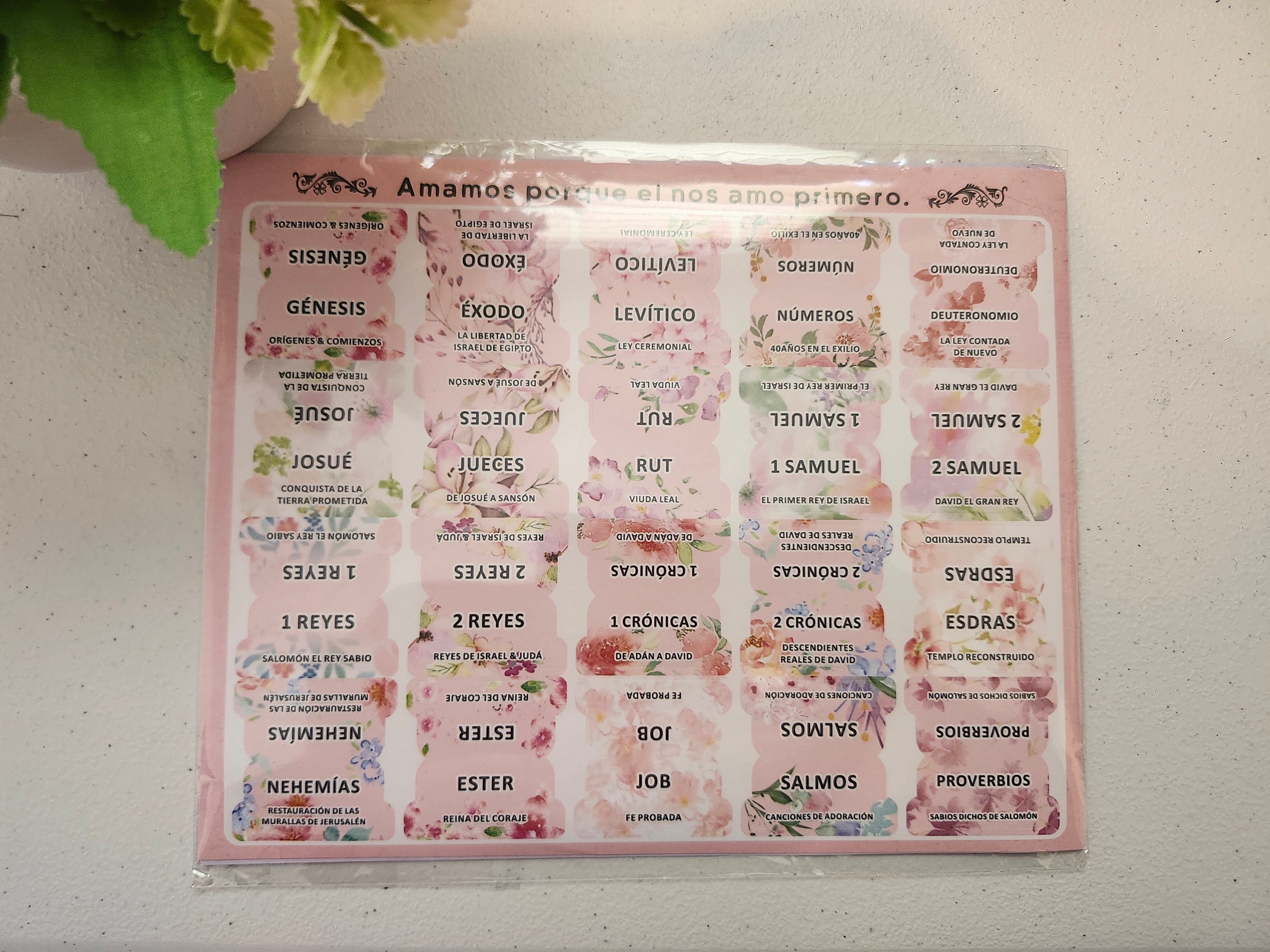 Pestañas para Biblia | Floral