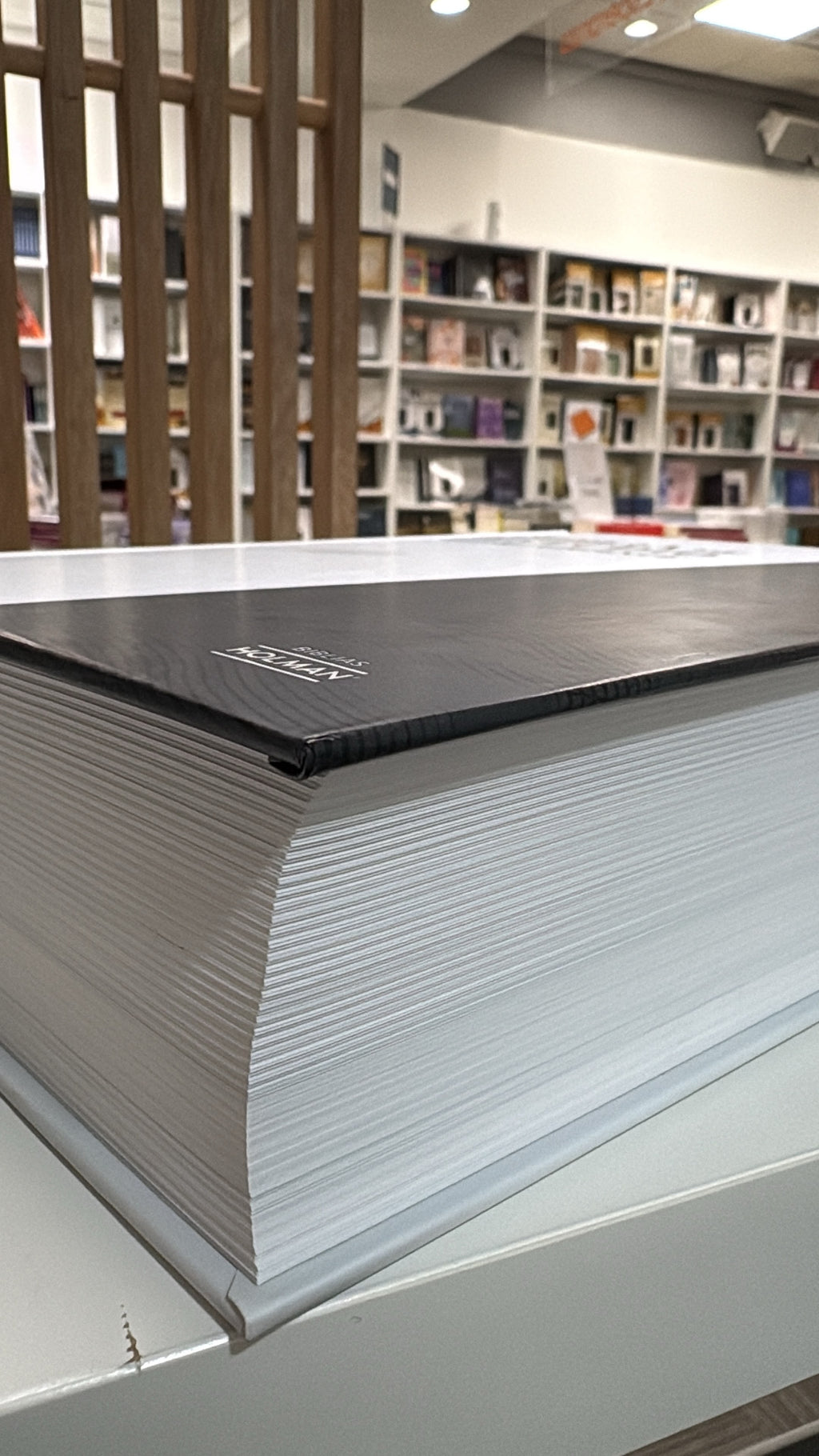 Biblia De Estudio RVR 1960|Letra Gigante