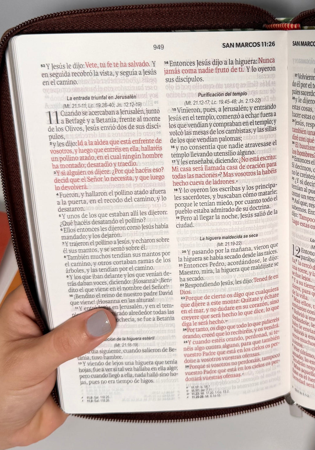 Biblia Ideal RVR1960| Primavera