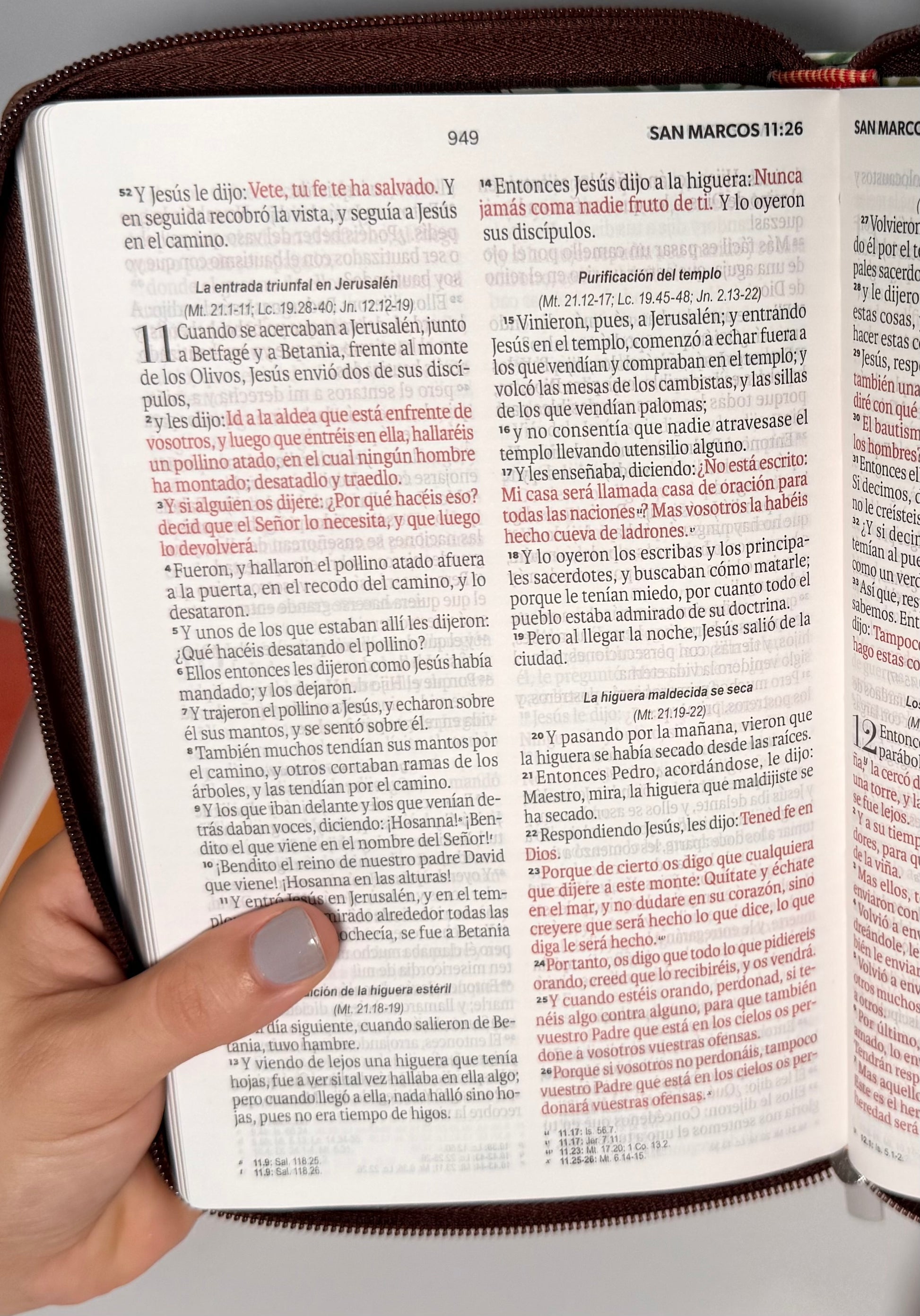 Biblia Ideal RVR1960| Primavera