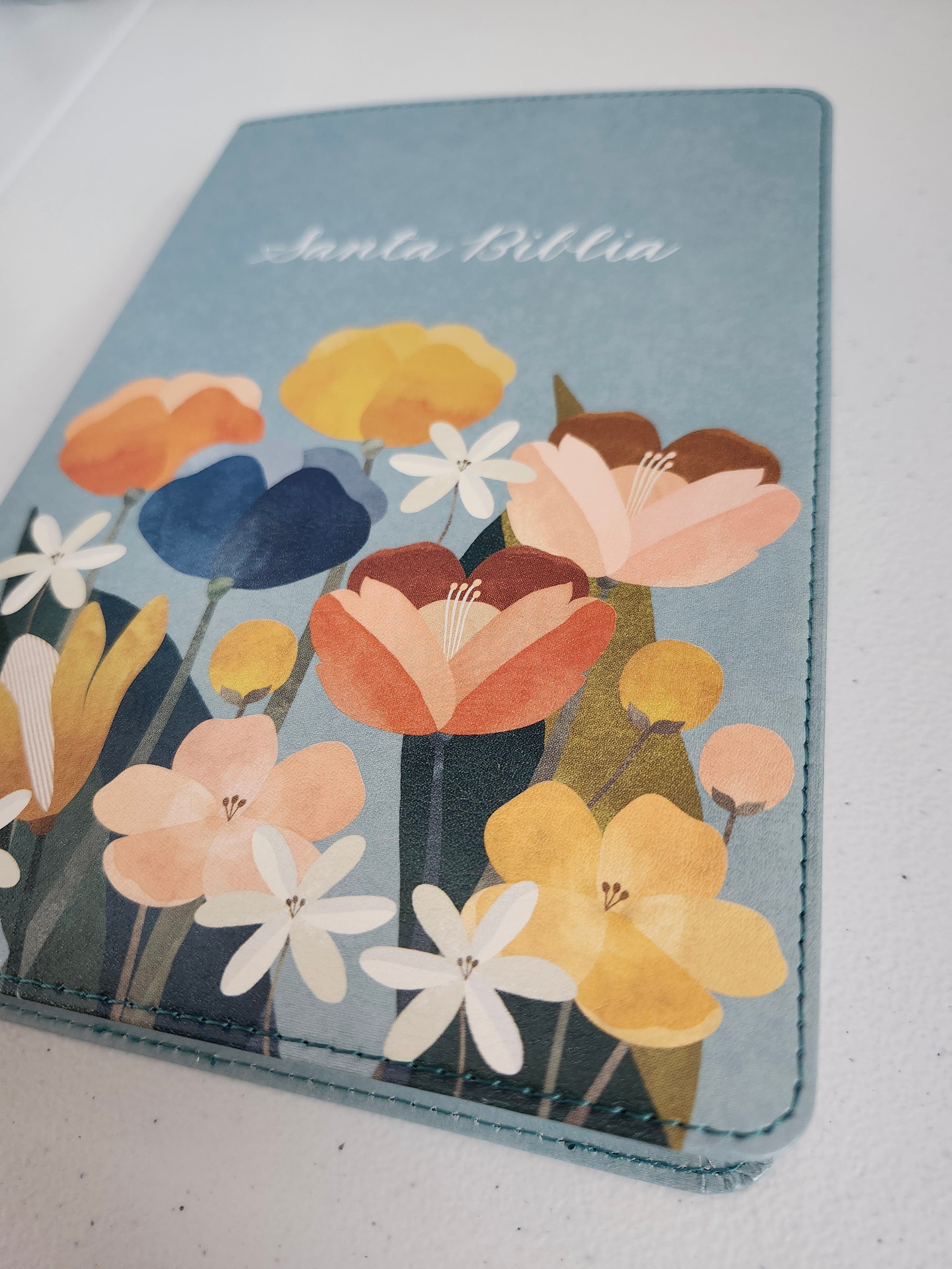 💜Biblia práctica, hermosa y fácil de llevar | Edición Especial, Aqua