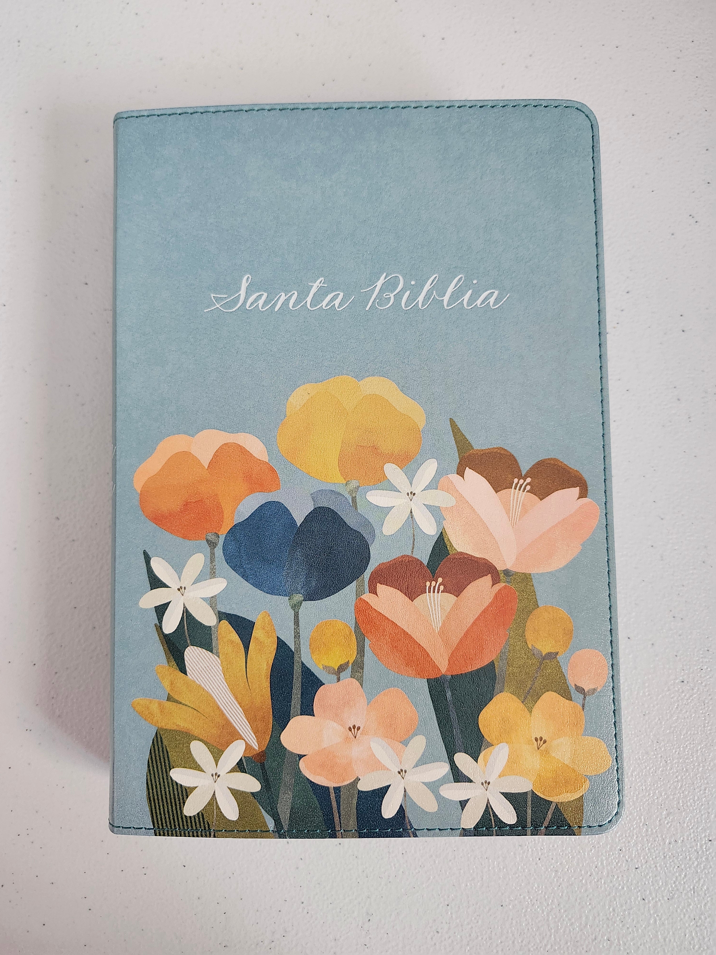 💜Biblia práctica, hermosa y fácil de llevar | Edición Especial, Aqua