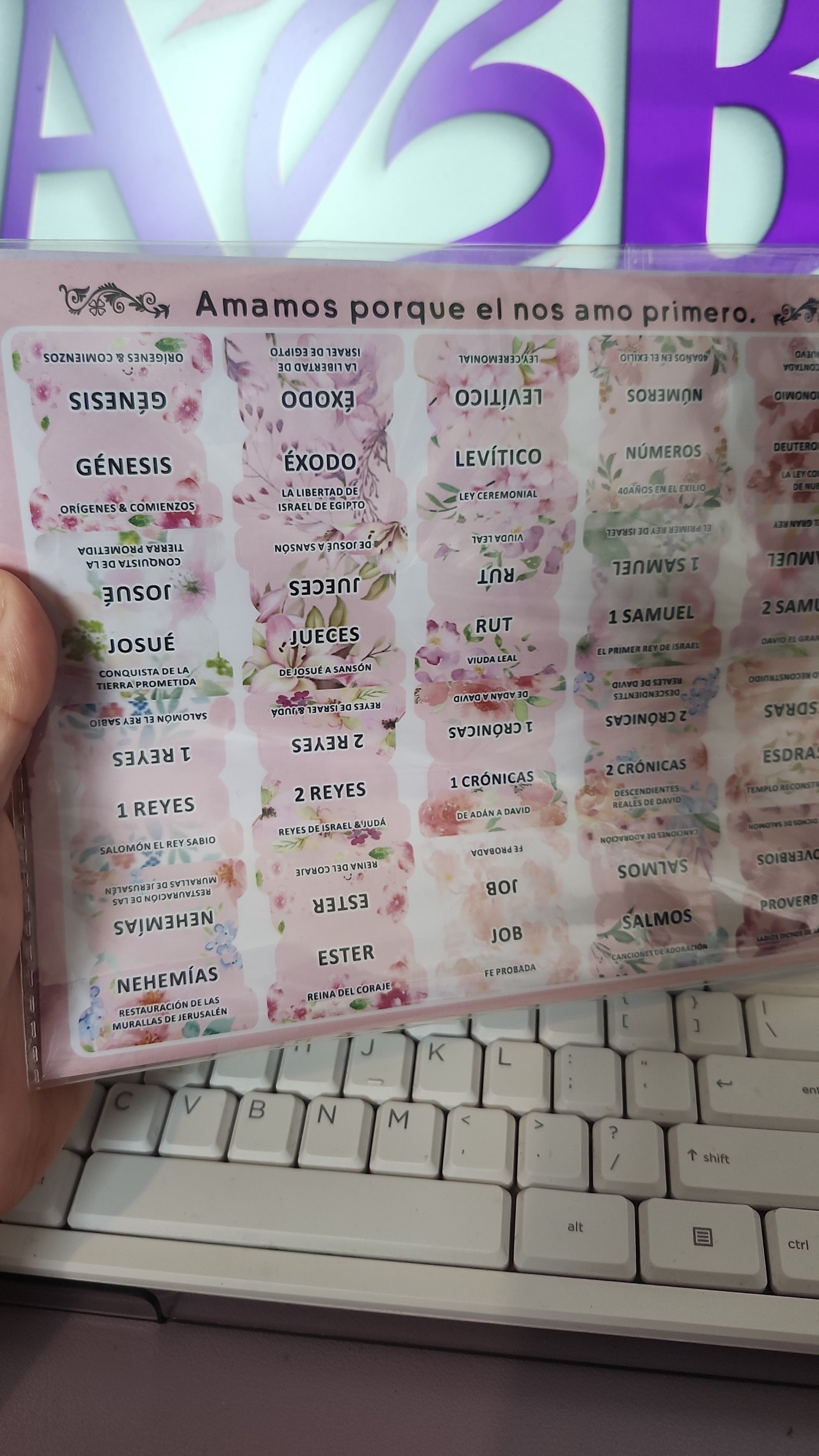 Pestañas para Biblia | Floral