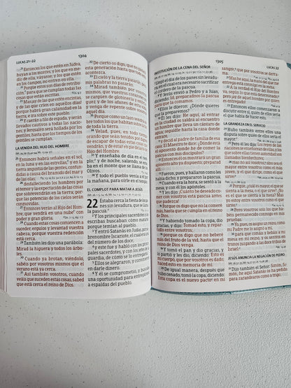 Biblia RVR 1960 Letra Grande, Tamaño Manual | Edición Especial, Verde, Simil Piel