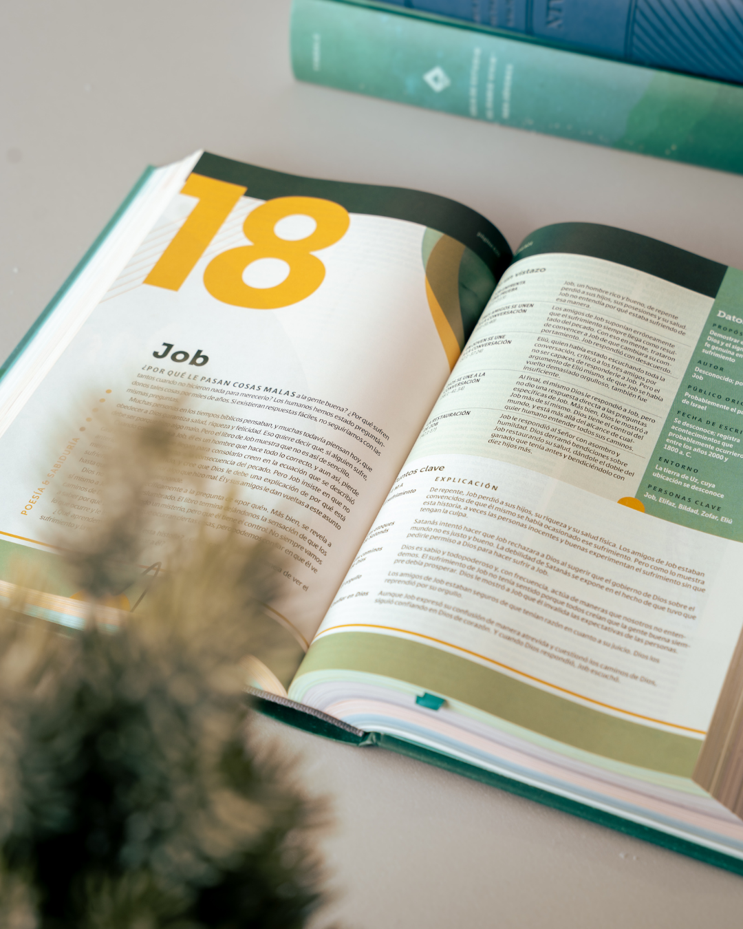 Biblia de Estudio del Diario Vivir para Jovenes | Indice