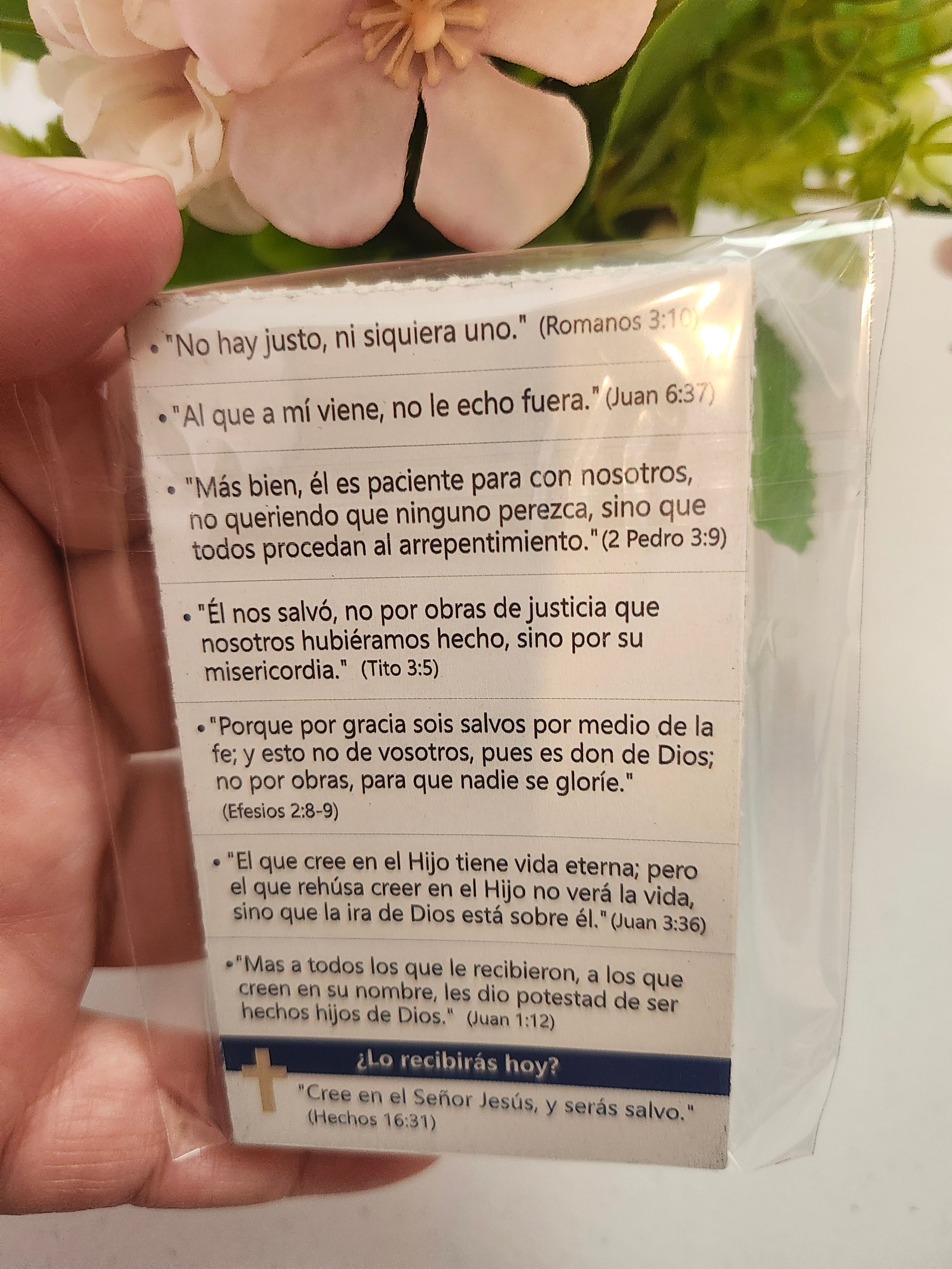 Juan 3:16 | Tarjetas para Evangelizar - 25 unidades